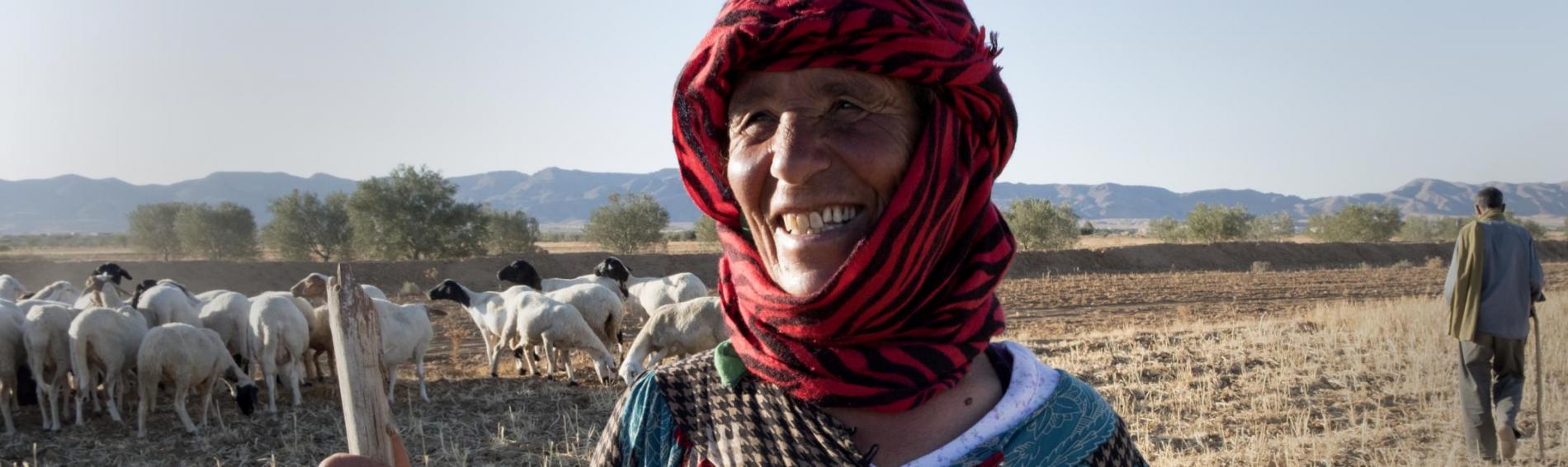 Een Tunesische herdersvrouw van middelbare leeftijd lacht de camera toe. Een doek om haar hoofd beschermt haar tegen de zon. In haar hand draagt ze een stok om het vee te mennen. Ze staat in het midden van een veld, tussen een kudde schapen. Een beetje verderop staat een man met identieke herdersstok. 